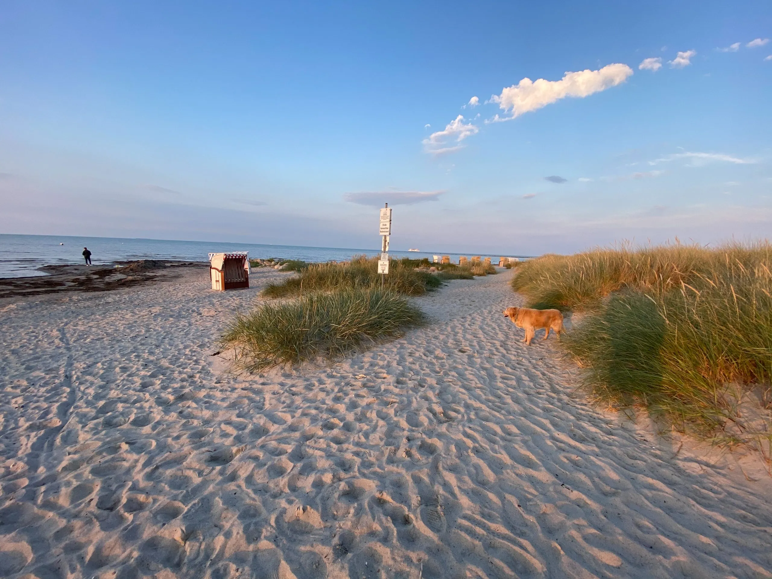 Sommerwind – Foto 9