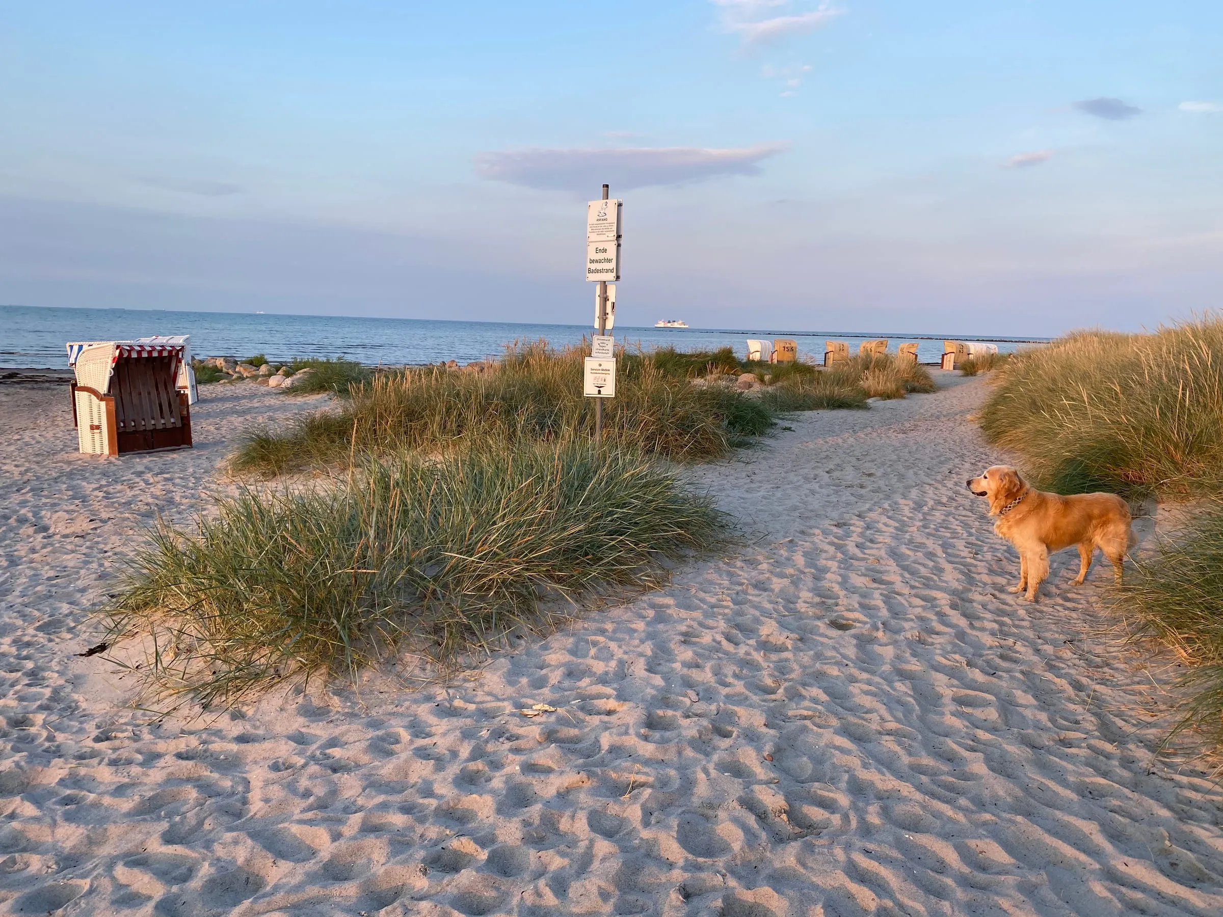 Villa Rosengarten & Fehmarn – Foto 9