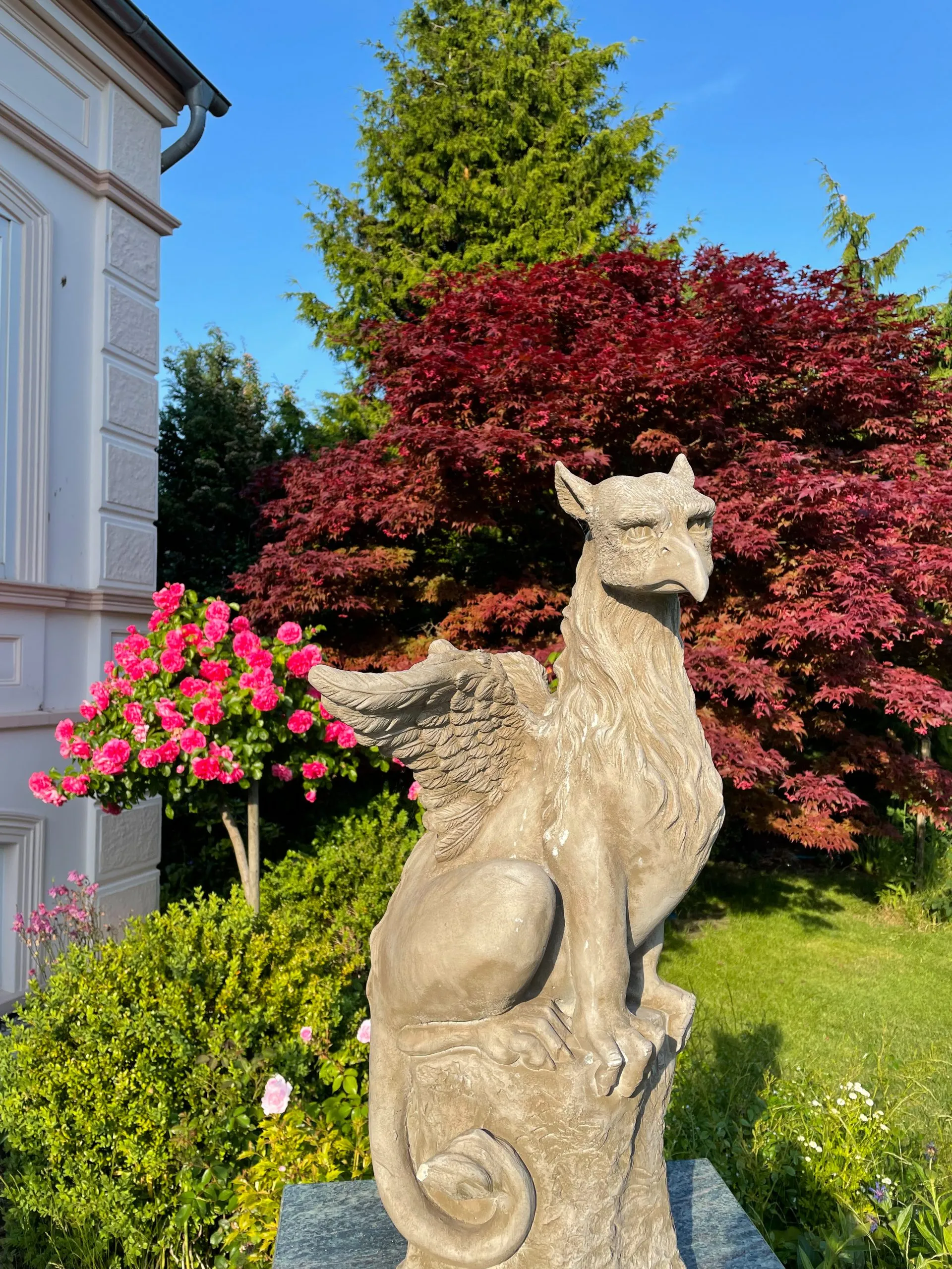 Sommerwind – Foto 23