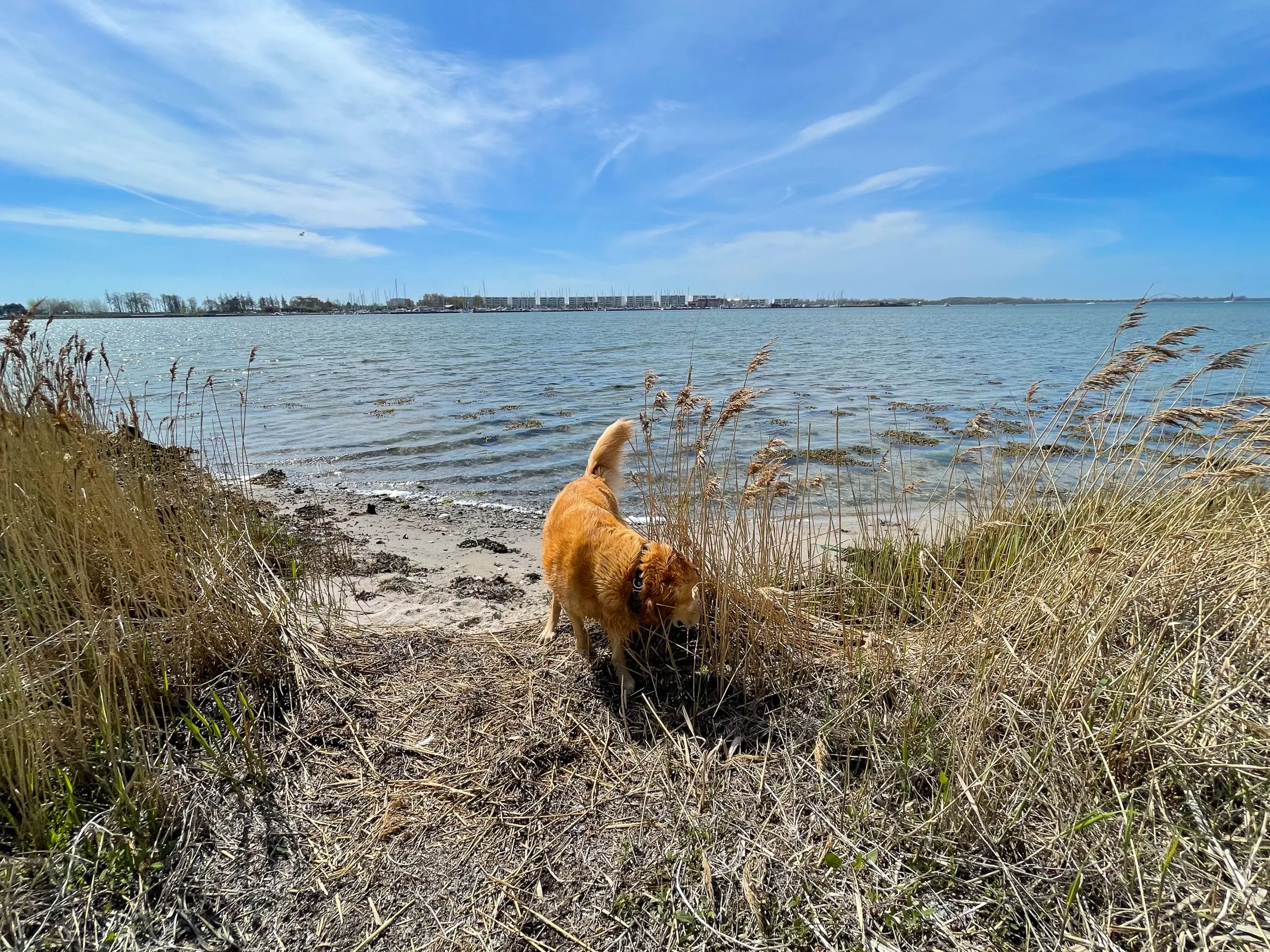Sommerwind – Foto 40