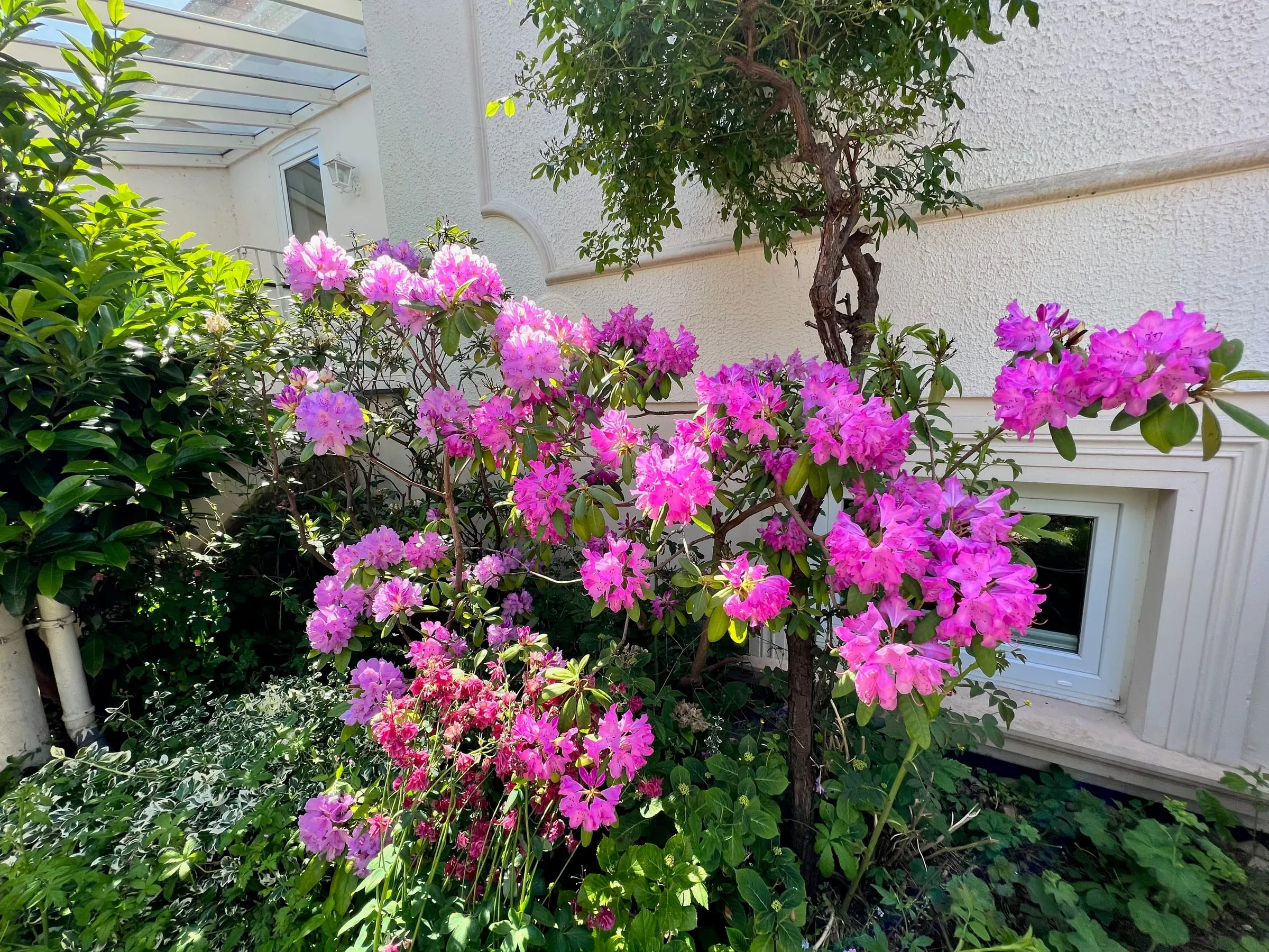 Romantika – Foto 25