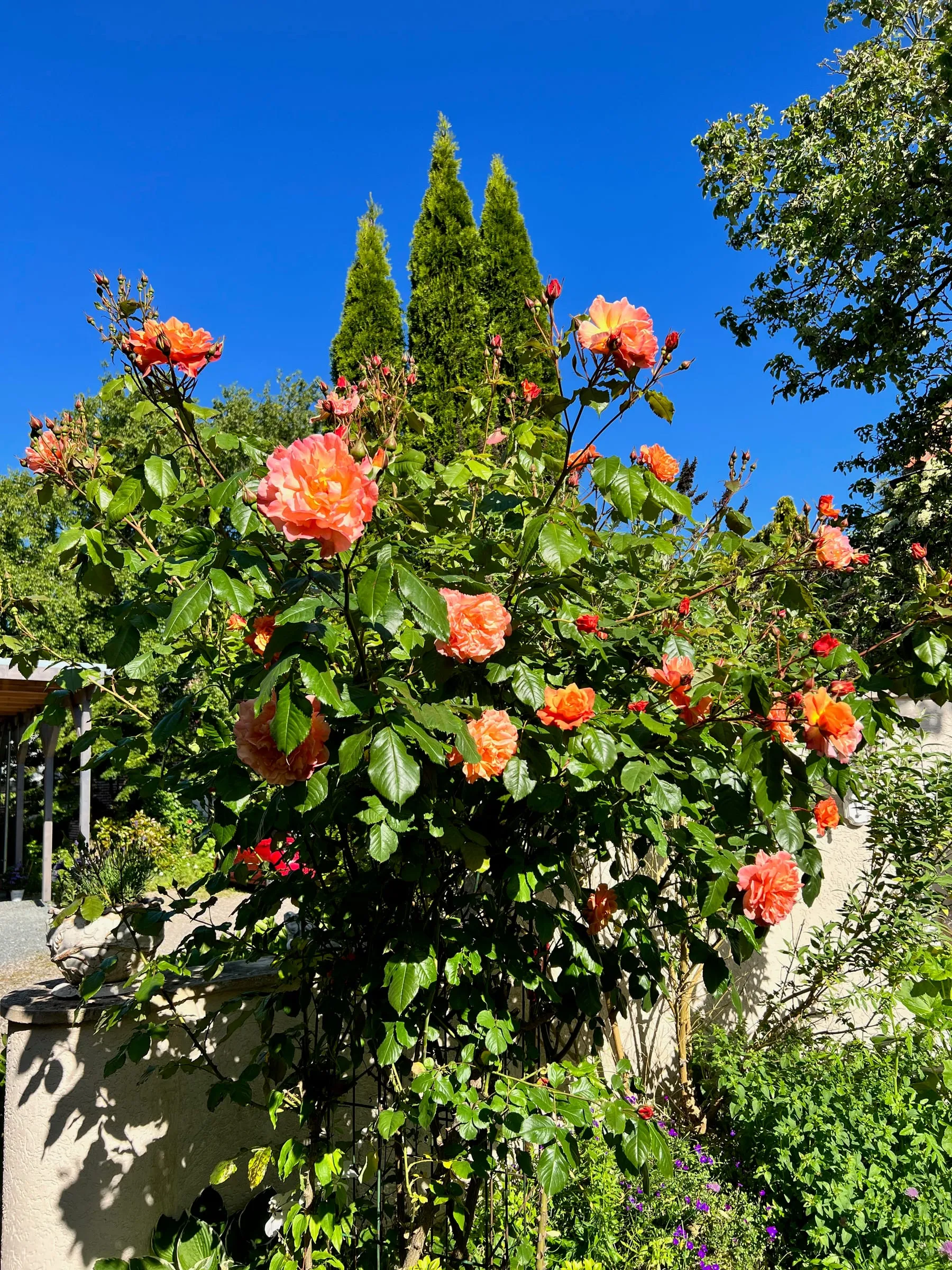 Romantika – Foto 26