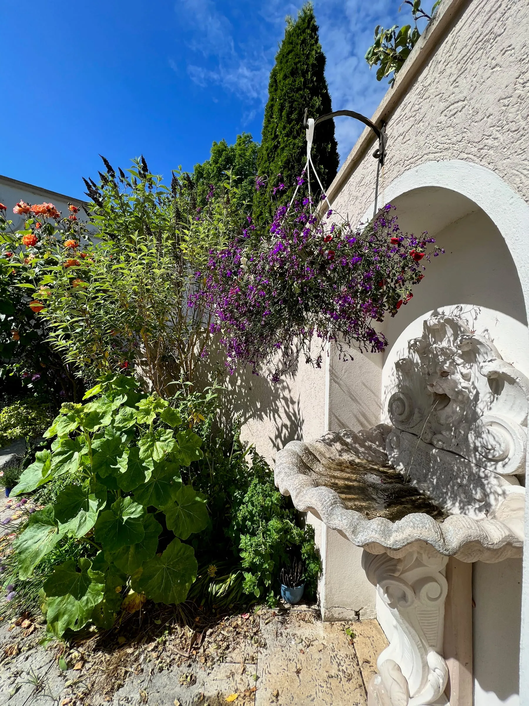Romantika – Foto 27